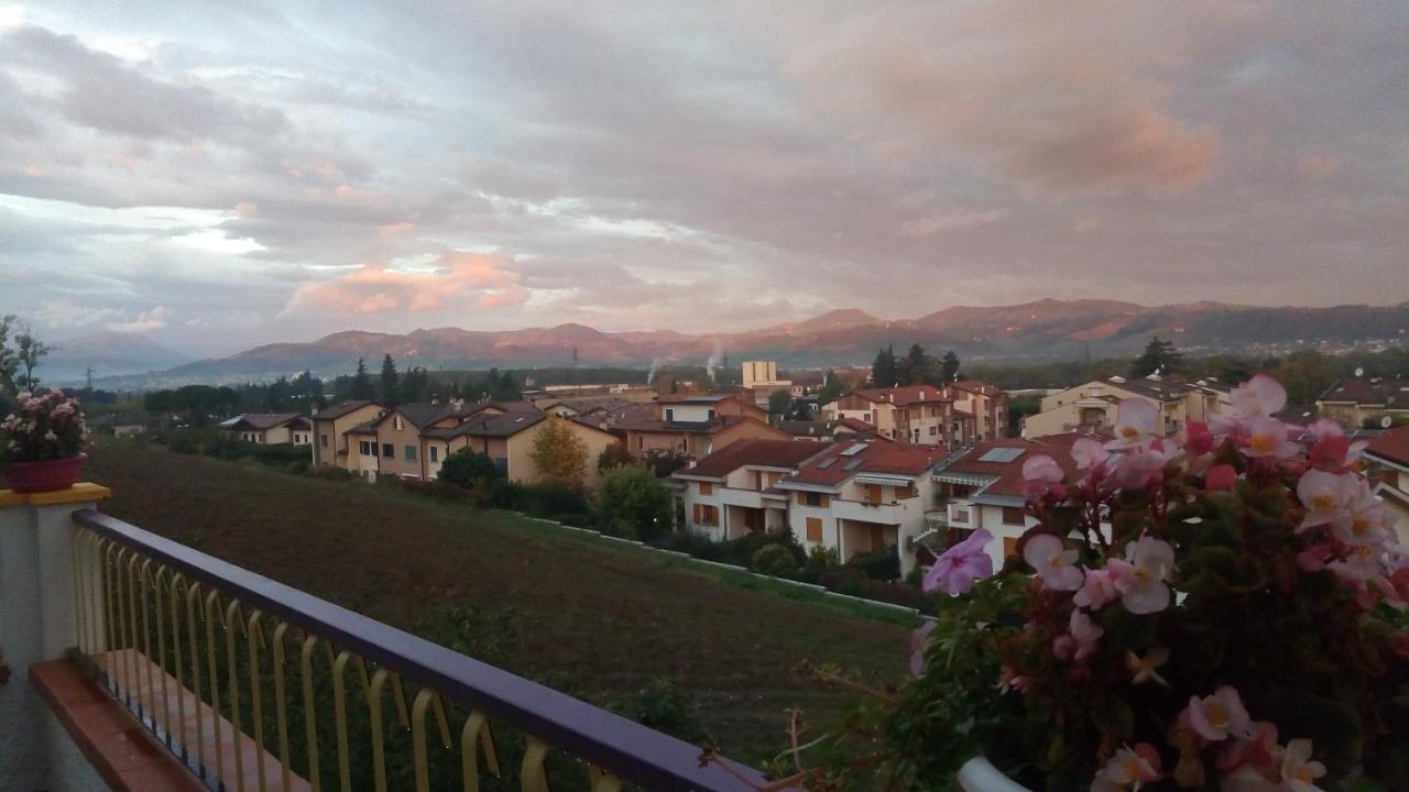 Nel Giardino Di Oz